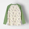 Raglan Dino Printed Tshirt