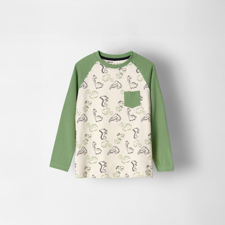 Raglan Dino Printed Tshirt