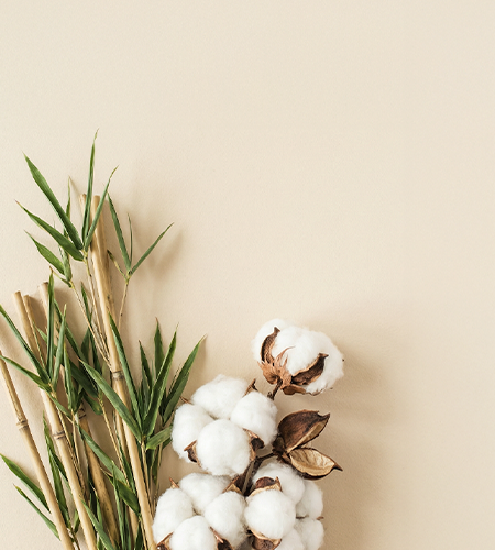 Sustainability First